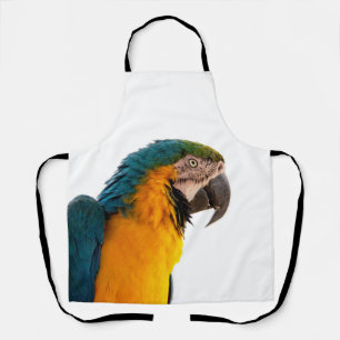 Parrot macaw schort