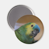 Parrot Magnet (Voorkant / Achterkant)