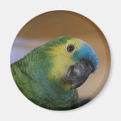 Parrot Magnet (Voorkant)