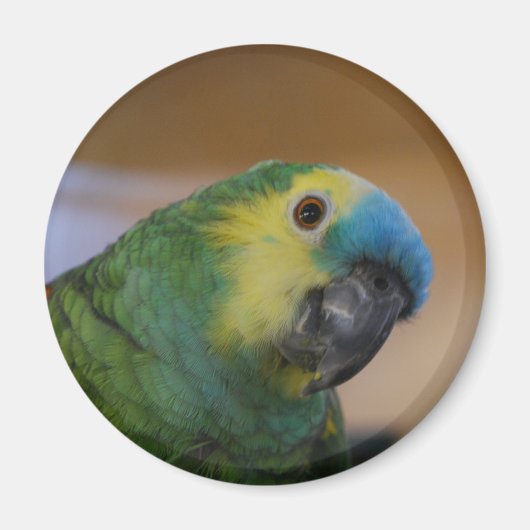 Parrot Magnet (Voorkant)