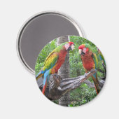 Parrot Magnet (Voorkant / Achterkant)
