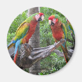 Parrot Magnet (Voorkant)