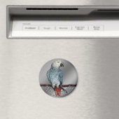 Parrot Magnets personaliseren Afrikaanse grijze ma Magneet (Insitu (Vaatwasser))