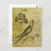 Parrot met Plums Briefkaart (Voorkant / Achterkant)