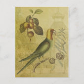 Parrot met Plums Briefkaart (Voorkant)