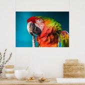 Parrot Modern Photography Poster (Keuken)