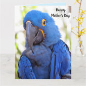 Parrot Moederdag gevouwen groot Wenskaart Kaart (Gele Bloem)