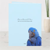 Parrot Moederdag gevouwen groot Wenskaart Kaart (Achterkant)