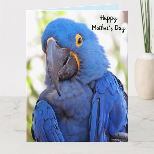 Parrot Moederdag gevouwen groot Wenskaart Kaart (Voorkant)