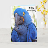 Parrot Moederdag Gevouwen Wenskaart Kaart (Gele Bloem)