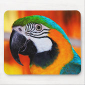 Parrot Muismat (Voorkant)