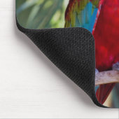 Parrot Muismat (Hoek)