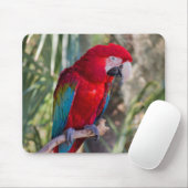 Parrot Muismat (Met muis)