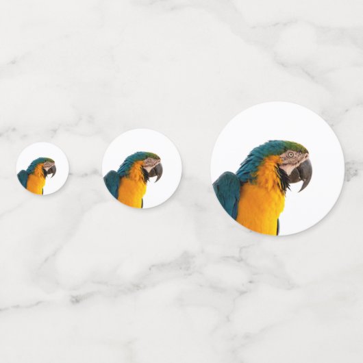 Parrot Notes Confetti (Voorkanten)