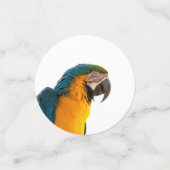 Parrot Notes Confetti (Kleine voorkant)