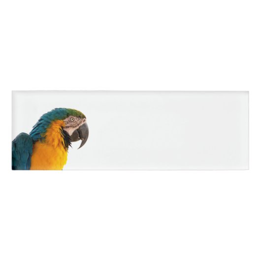 Parrot Notes Naambadge (Voorkant)