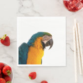 Parrot Notes Servet (Insitu)