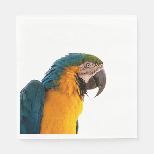 Parrot Notes Servet (Voorkant)
