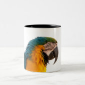 Parrot Notes Tweekleurige Koffiemok (Center)