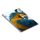 Parrot Notitieboek (Rechterzijde)