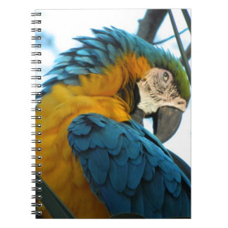 Parrot Notitieboek