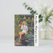 Parrot Oerwoud, Miami, Florida Briefkaart (Staand voorkant)