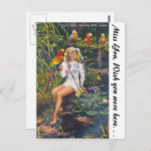 Parrot Oerwoud, Miami, Florida Briefkaart (Voorkant / Achterkant)
