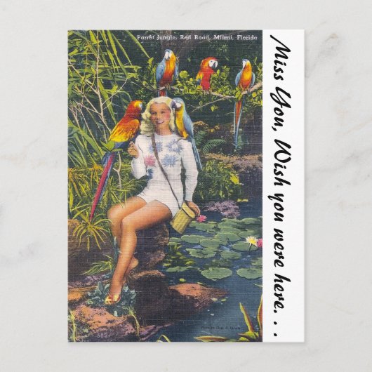 Parrot Oerwoud, Miami, Florida Briefkaart (Voorkant)