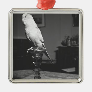 Parrot op de kandlestick B&W Metalen Ornament