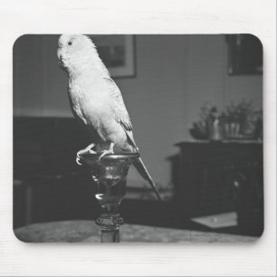 Parrot op de kandlestick B&W Muismat