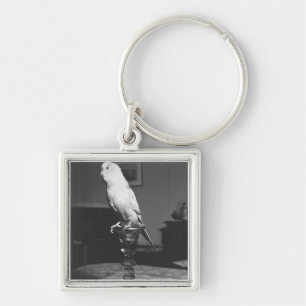 Parrot op de kandlestick B&W Sleutelhanger