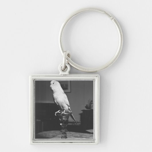 Parrot op de kandlestick B&W Sleutelhanger (Voorkant)