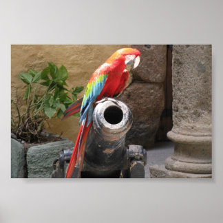 Parrot op de vergadering van Cannon Poster