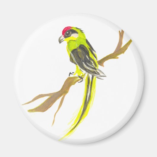 Parrot op een tak. Waterverf schilderen. Magneet (Voorkant)