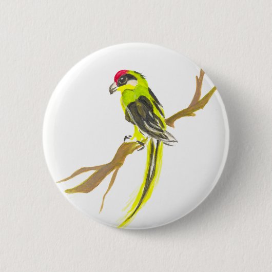Parrot op een tak. Waterverf schilderen. Ronde Button 5,7 Cm (Voorkant)