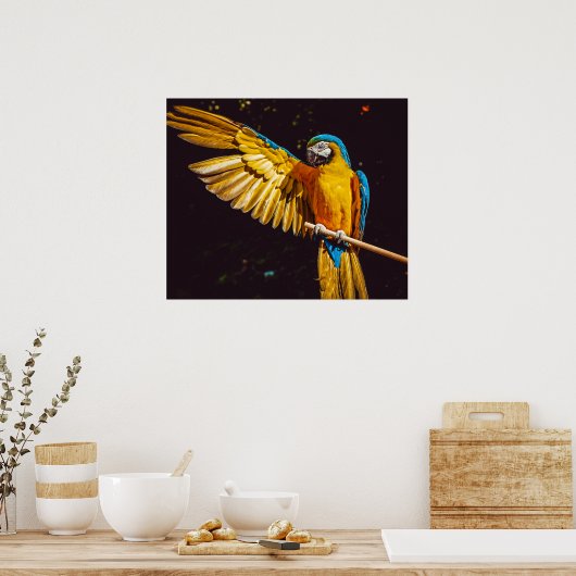 Parrot Out Stretched Wing Poster (Keuken)