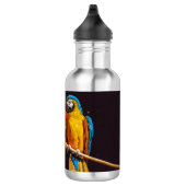 Parrot Out Stretched Wing Waterfles (Rechts)