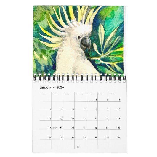 Parrot paintings Calendar Kalender (Jan 2026)