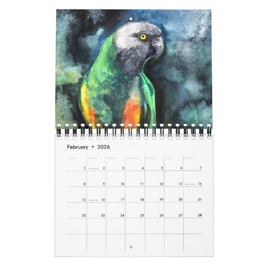 Parrot paintings Calendar Kalender (Feb 2026)
