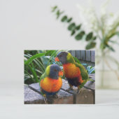Parrot Pals Briefkaart (Staand voorkant)