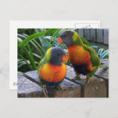 Parrot Pals Briefkaart (Voorkant / Achterkant)