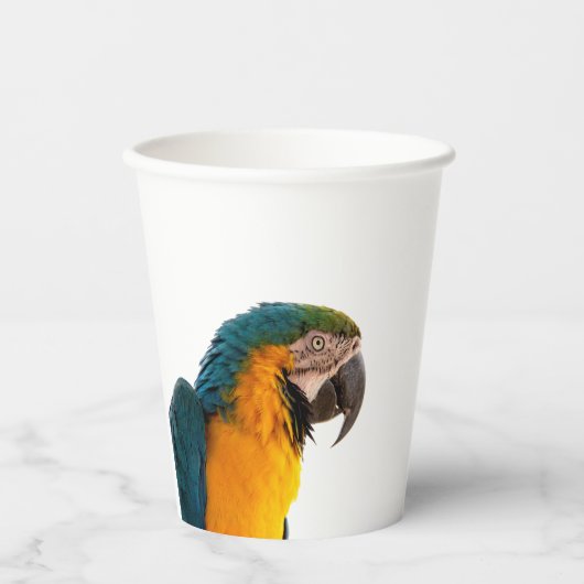Parrot papieren bekers (Voorkant)