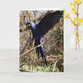 Parrot Party Kaart (Gele Bloem)