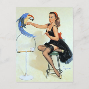 Parrot  Pin Up Briefkaart