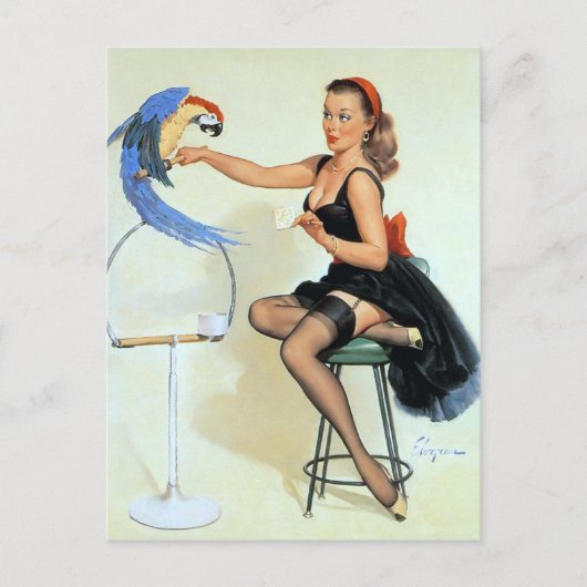 Parrot Pin Up Briefkaart (Voorkant)