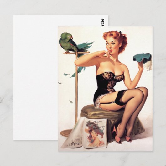 Parrot Pin Up Briefkaart (Voorkant / Achterkant)