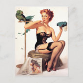 Parrot Pin Up Briefkaart (Voorkant)
