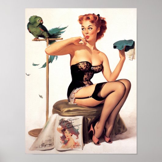 Parrot Pin Up Poster (Voorkant)