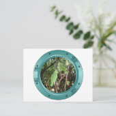 Parrot Porthole Briefkaart (Staand voorkant)