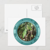 Parrot Porthole Briefkaart (Voorkant / Achterkant)